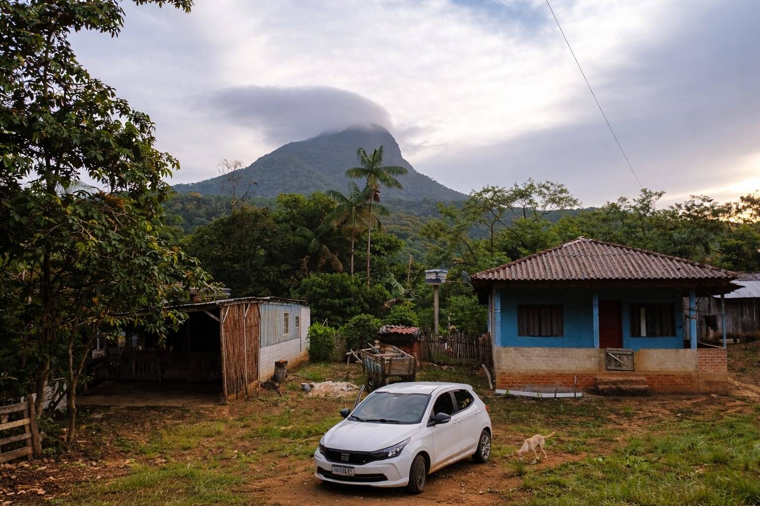 Foto