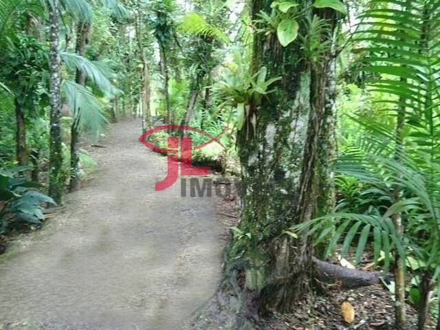 Venda em Guaraguaçu - Pontal do Paraná