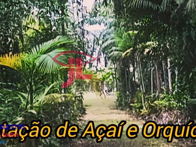 para em - 2