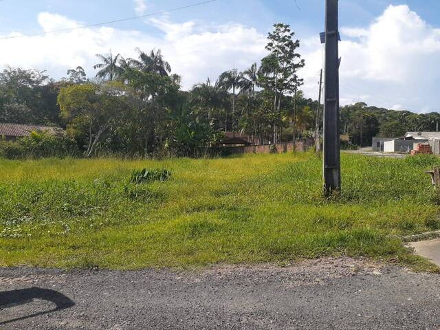 #V1381 - Área para Venda em Antonina - PR - 2