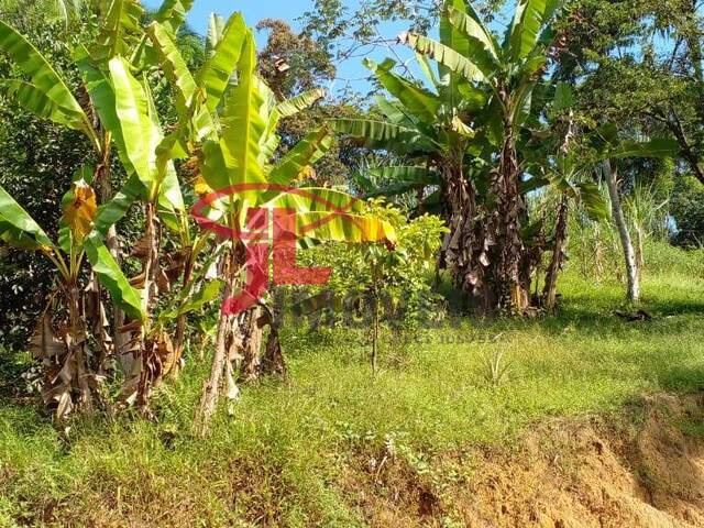 Área para Venda em Antonina - 3