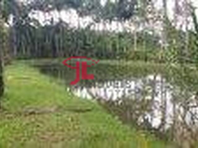 Área para Venda em Antonina - 1