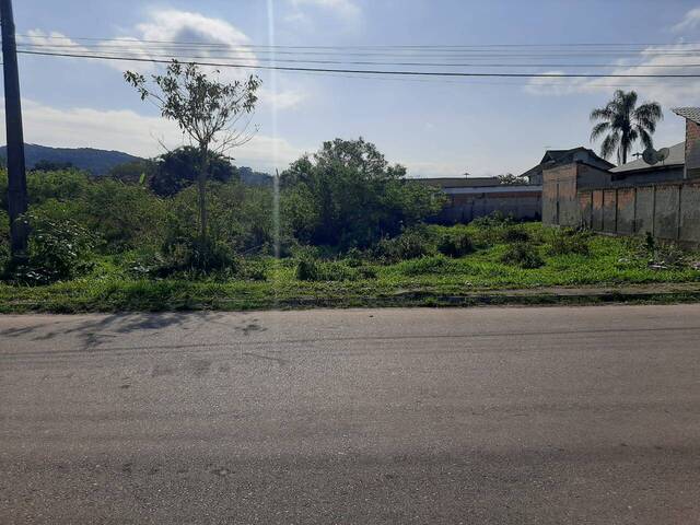 #V2440 - Terreno para Venda em Antonina - PR - 1