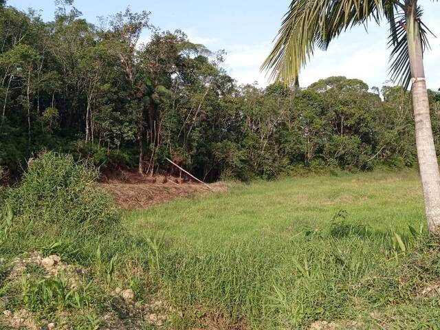 Venda em Rio Pequeno - Antonina