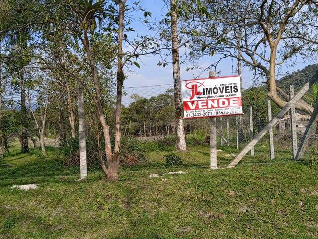 Venda em Rio Pequeno - Antonina