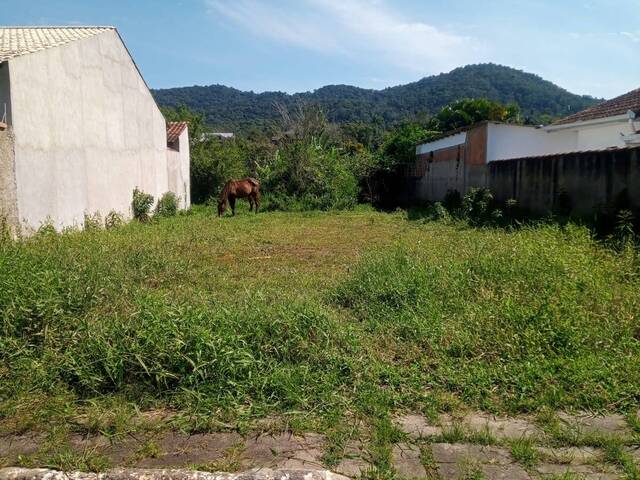#V2461 - Terreno para Venda em Antonina - PR - 2