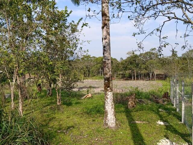 #v2444 - Chácara para Venda em Antonina - PR - 2