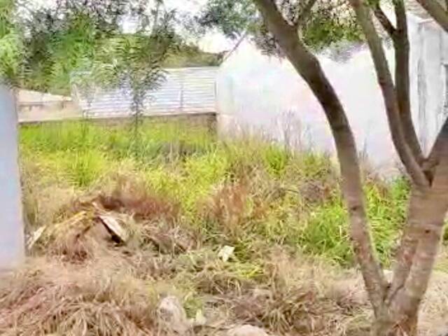 #166 - Área para Venda em Antonina - PR - 3