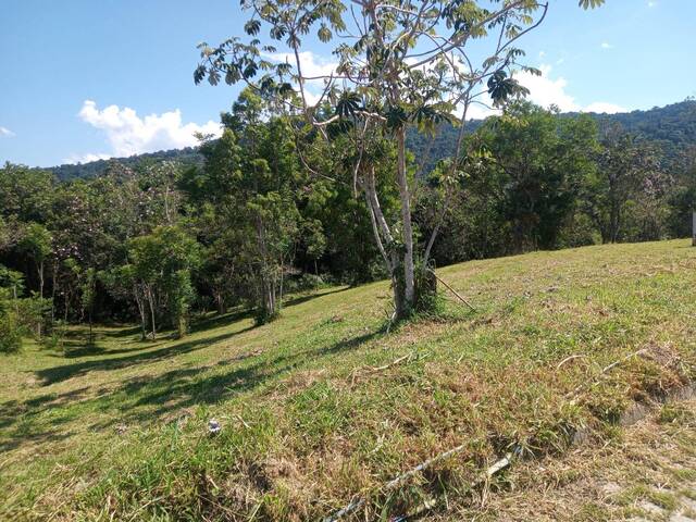 #V2477 - Terreno em condomínio para Venda em Antonina - PR - 2