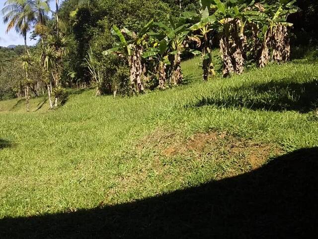 #196 - Chácara para Venda em Morretes - PR - 2