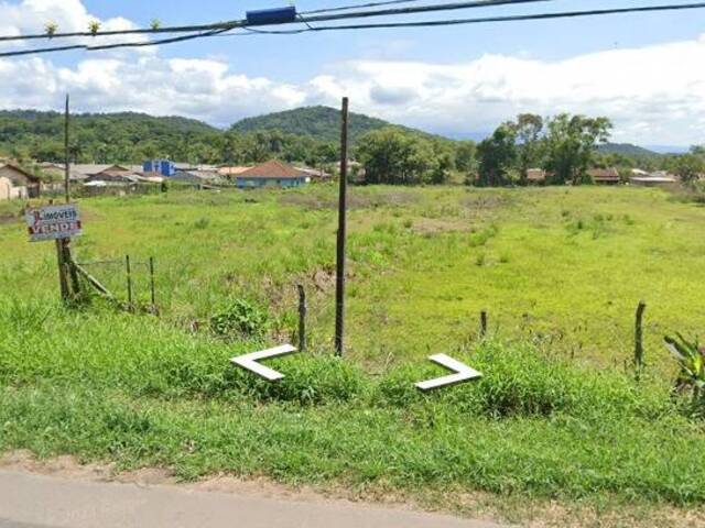 #V2502 - Terreno para Venda em Antonina - PR - 2