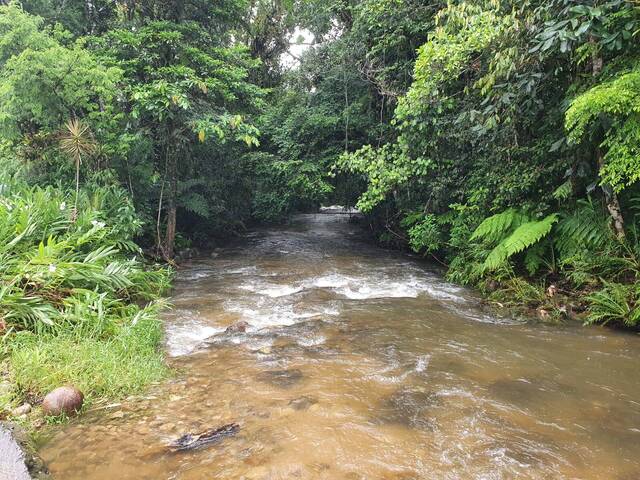 #V2514 - Chácara para Venda em Antonina - PR - 1