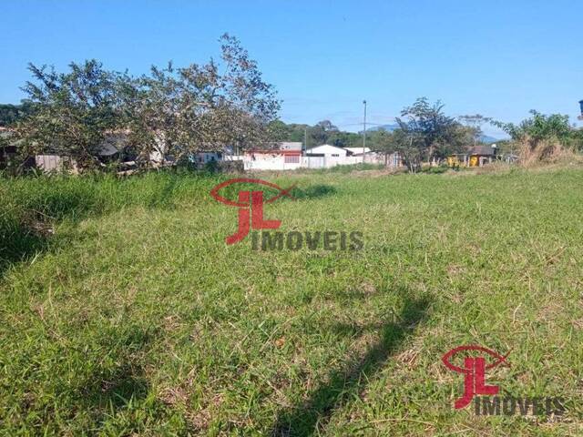 #v2515 - Terreno para Venda em Antonina - PR - 1