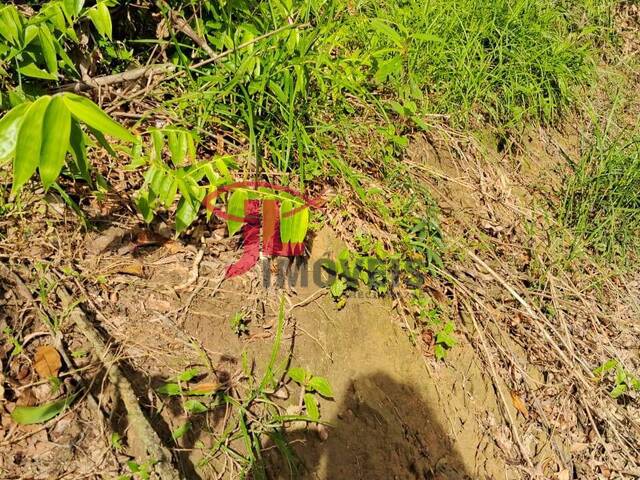 #359 - Chácara para Venda em Antonina - PR - 3