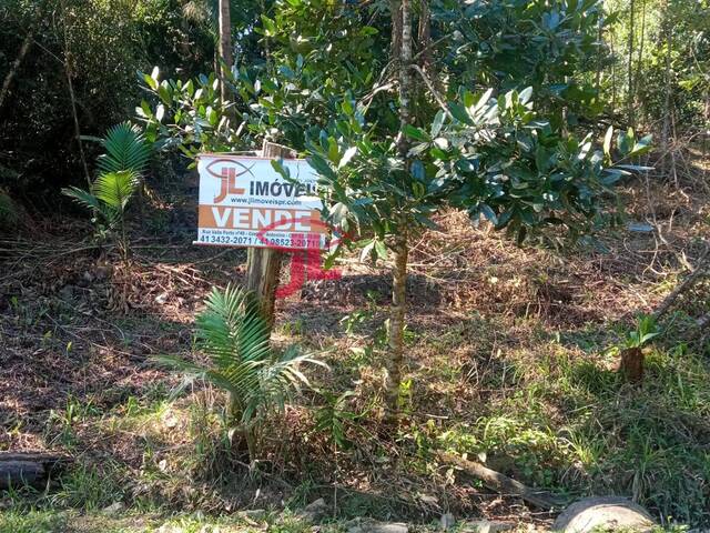#511 - Terreno para Venda em Antonina - PR - 1
