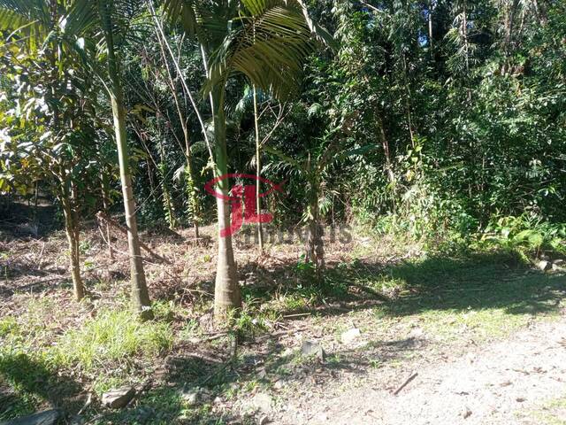 Terreno para Venda em Antonina - 4