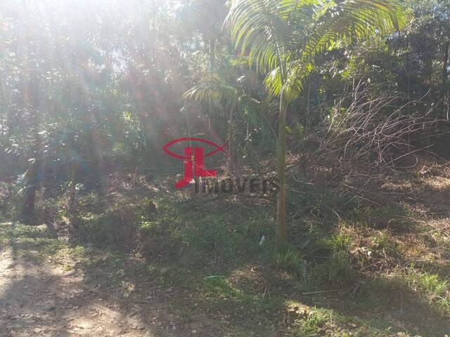 Terreno para Venda em Antonina - 5