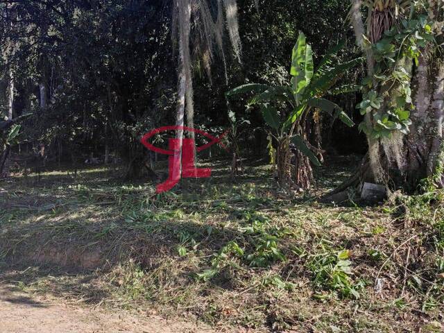Venda em Caixa d´ Água - Antonina