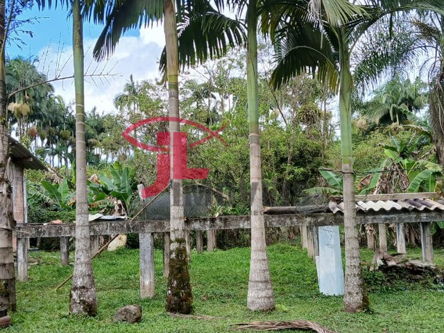 para em - 4