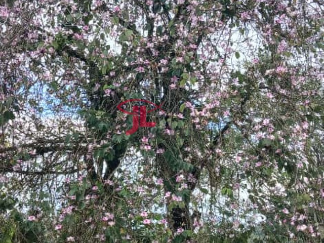 #523 - Chácara para Venda em Antonina - PR - 2