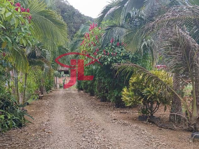 #523 - Chácara para Venda em Antonina - PR - 3