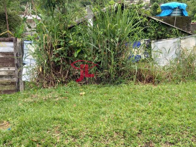 Área para Venda em Antonina - 4