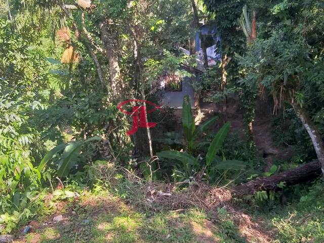 Casa para Venda em Antonina - 4