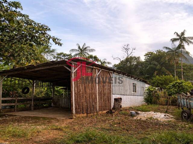 Foto atualizada 08/04/2026