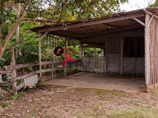 Foto atualizada 08/04/2026 