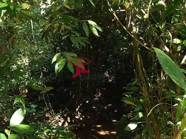 #588 - Chácara para Venda em Antonina - PR - 2