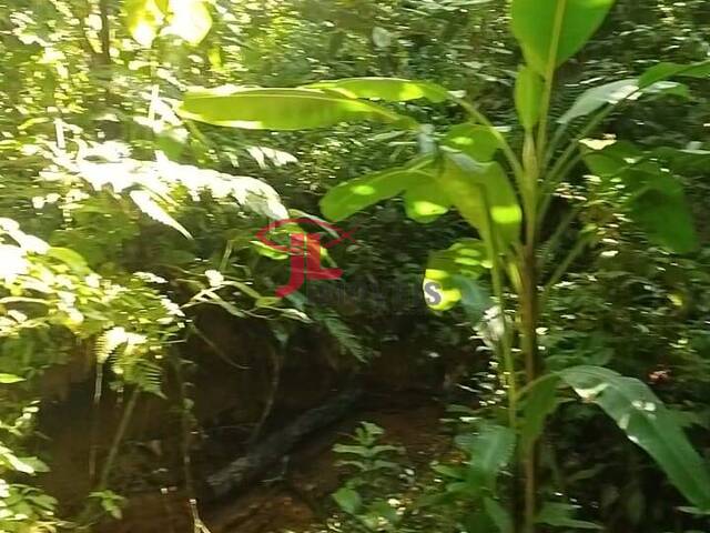 #588 - Chácara para Venda em Antonina - PR - 3