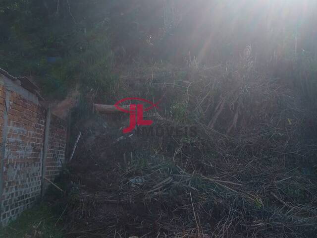 Área para Venda em Antonina - 4